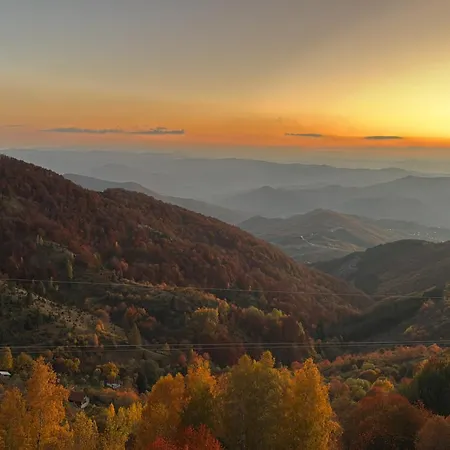 Black Elegant & Kop Daire Kopaonik