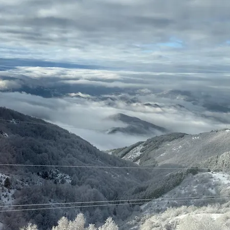 Black Elegant&spa Kop Apartment Kopaonik