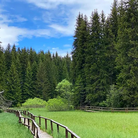 Apartment Black Elegant&spa Kop *