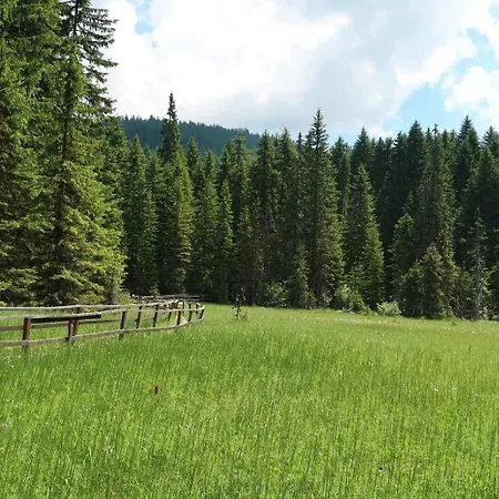 Black Elegant&spa Kop Kopaonik