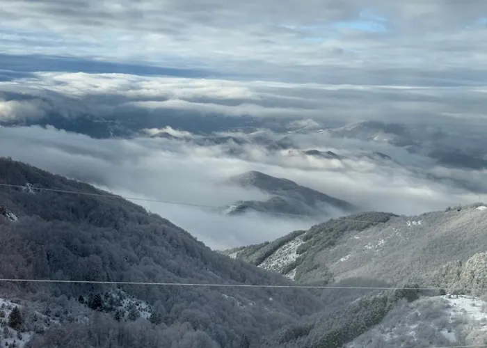 Black Elegant & Kop Apartman Kopaonik