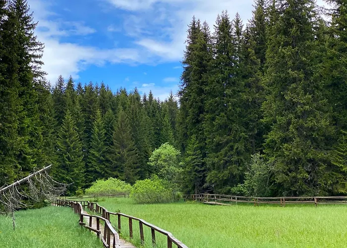 Apartman Black Elegant & Kop *