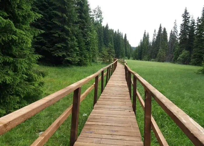 Black Elegant & Kop * Kopaonik