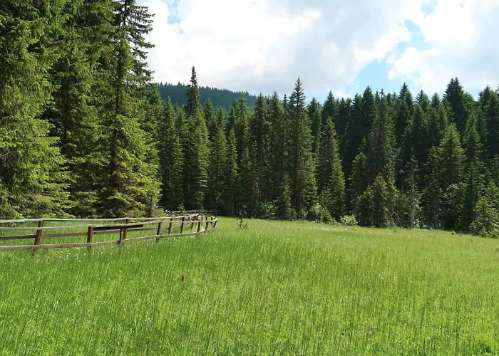 Black Elegant & Kop Kopaonik